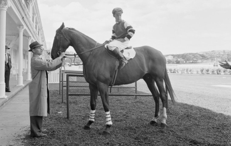 pictures of seabiscuit seabiscuit last race